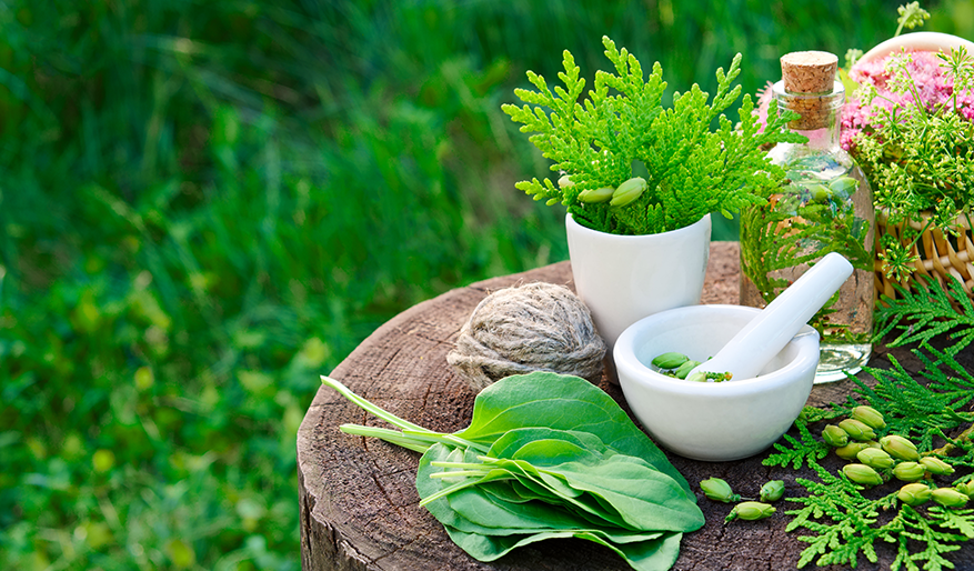 WHERE TO GET AN AYURVEDIC CONSULTATION IN EUROPE?