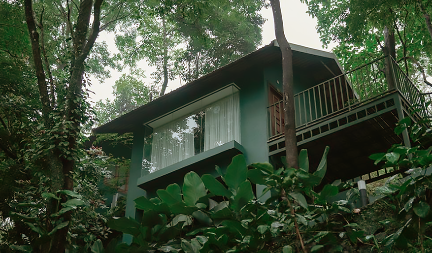 Which Is the Best Ayurvedic Treatment Centre in Kerala?