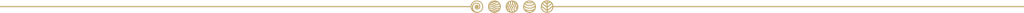 shatavariayurveda.com -largedivider