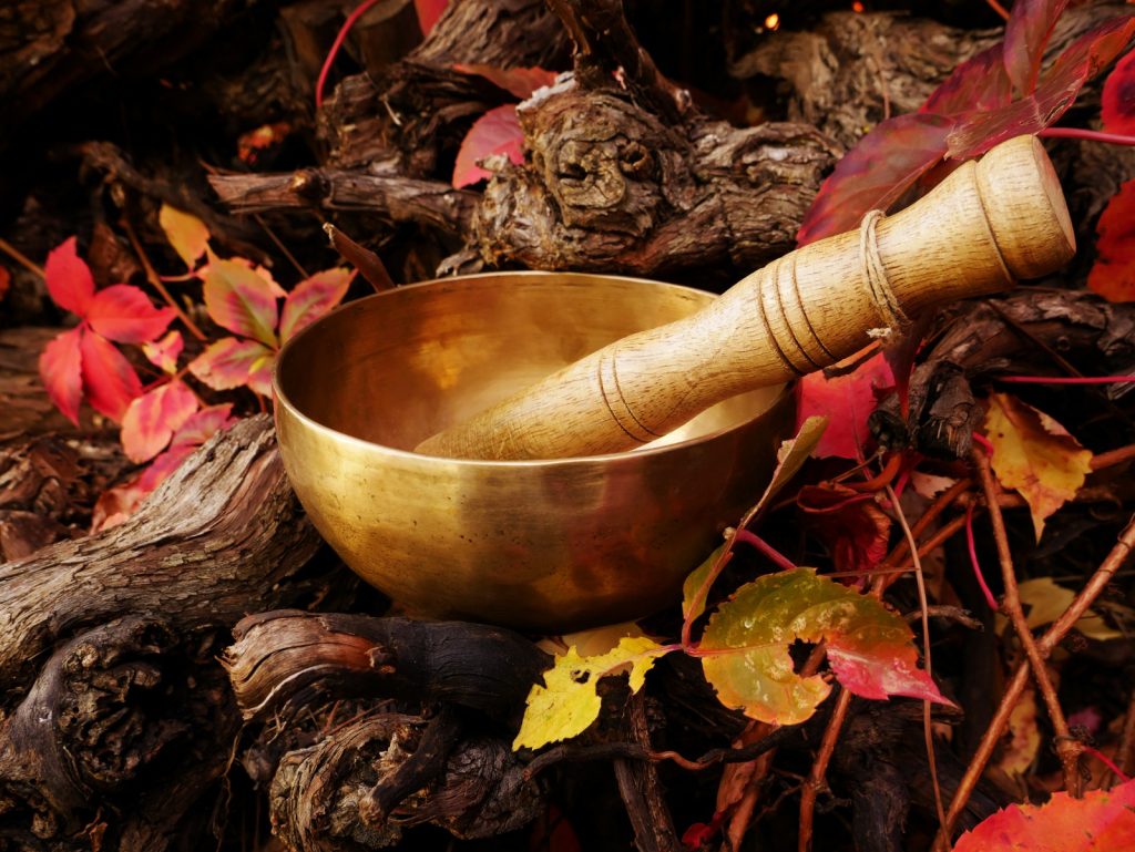 The Science Behind the Healing Power of Ayurveda